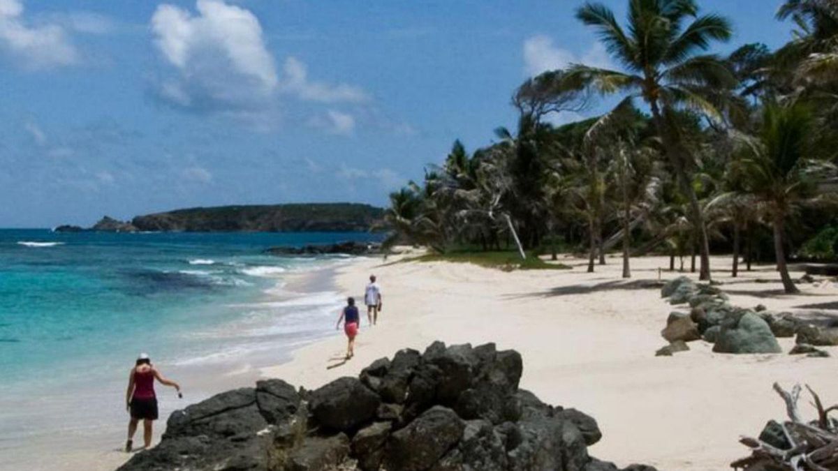Vista de platja Simplicitya l’illa de Mustique. | JASON PRATT Vista de platja Simplicitya l’illa de Mustique. | JASON PRATT