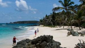 Vista de platja Simplicitya l’illa de Mustique. | JASON PRATT