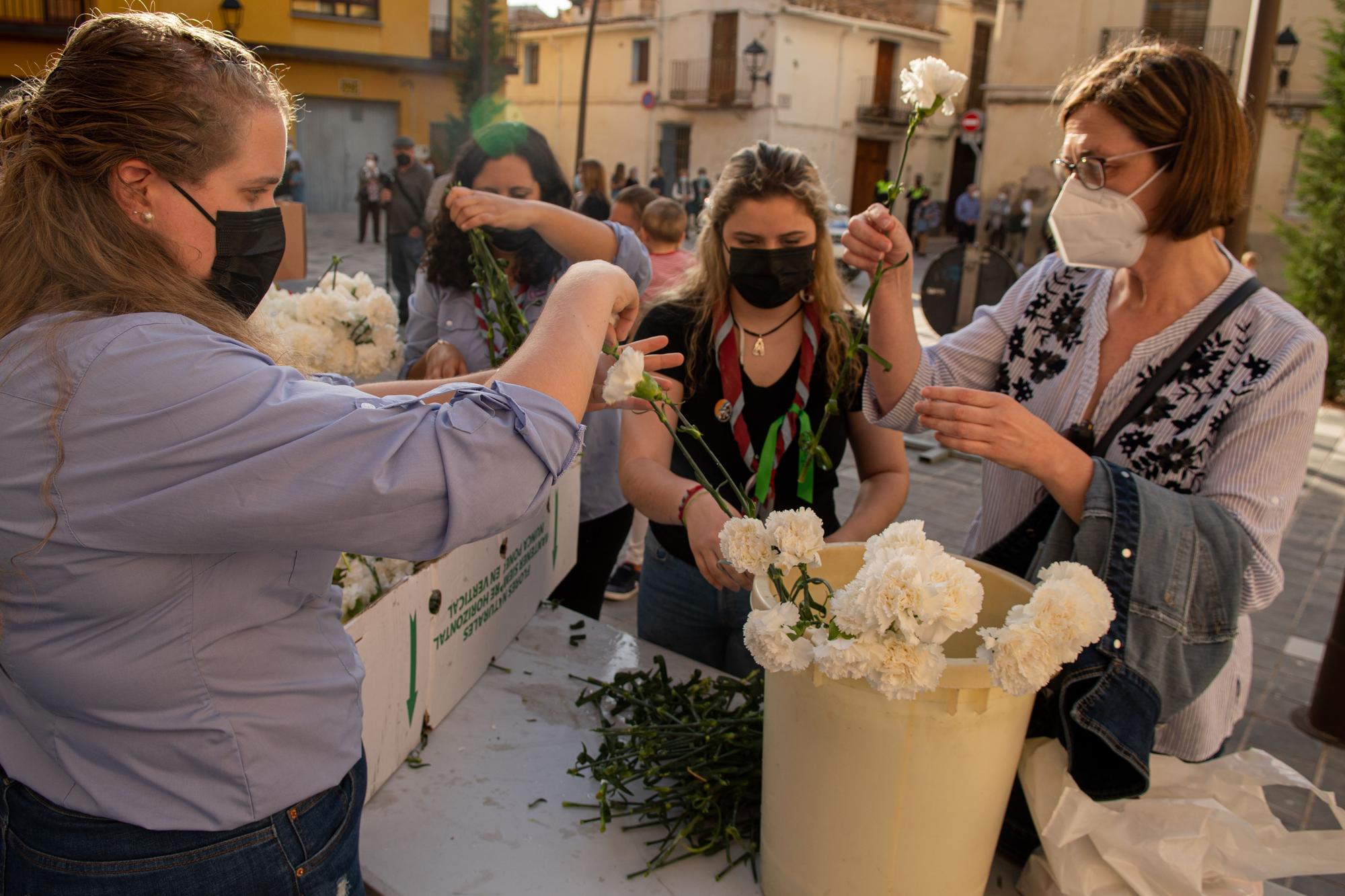 Así ha vestido Almassora el tapiz de flores en honor a Santa Quitèria