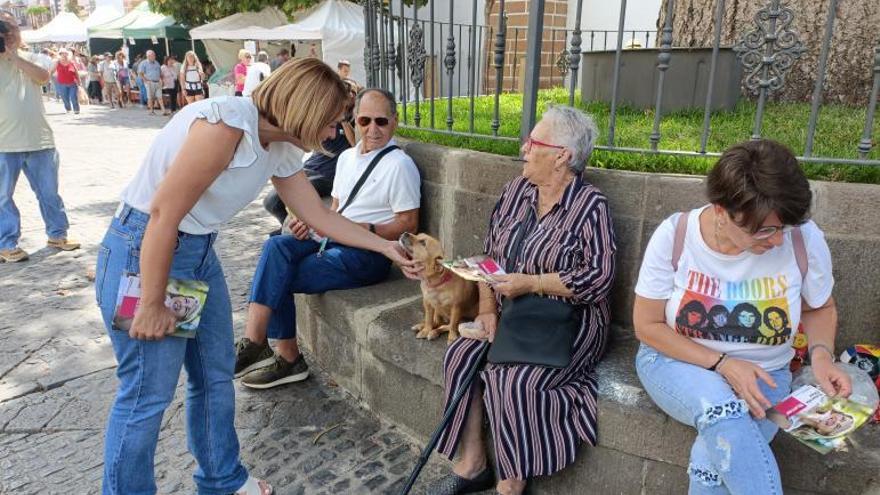 NC quiere más contenido canario en las aulas