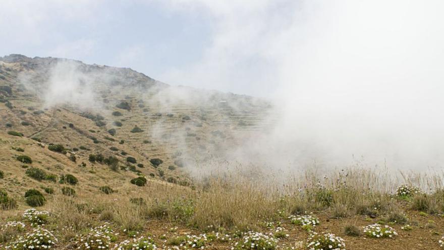 El Cabildo de La Gomera avanza en la adaptación climática con la captura de niebla