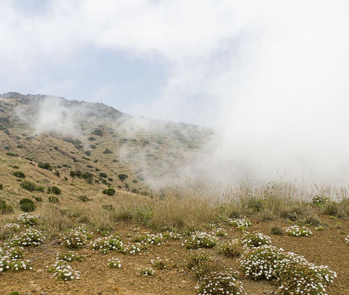 Vallehermoso, en La Gomera. | | E.D.