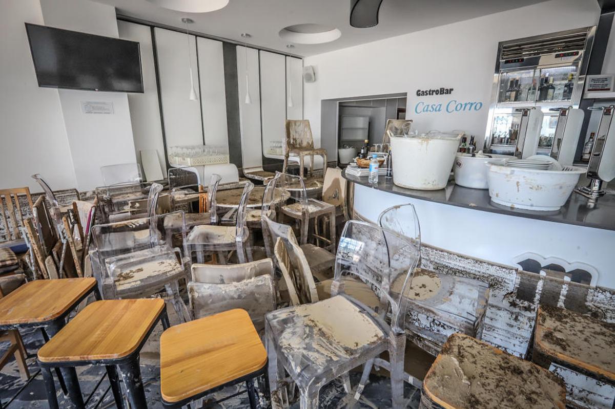 En directo: Los agricultores cifran en 550 millones las pérdidas en el campo de la provincia de Alicante