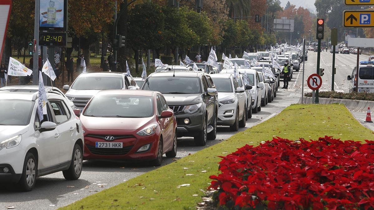 Las organizaciones agrarias de Córdoba salen a la calle