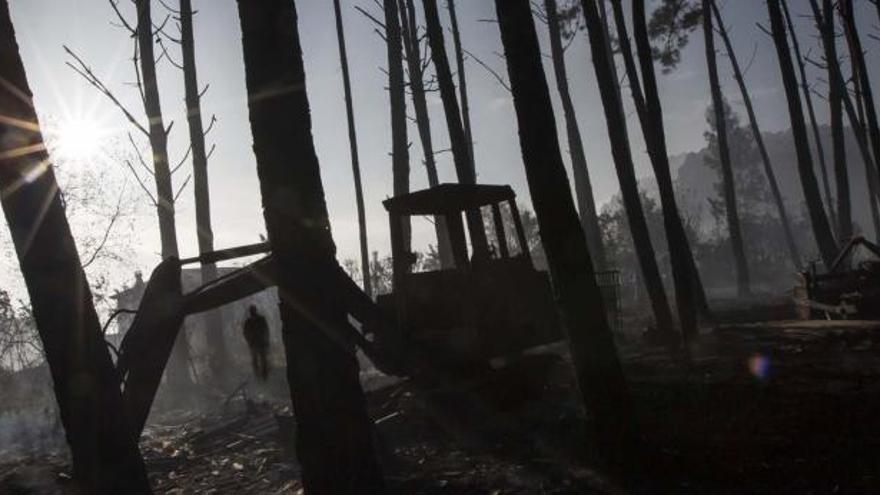 Zona afectada por el incendio de El Franco, del 19 de diciembre de 2015