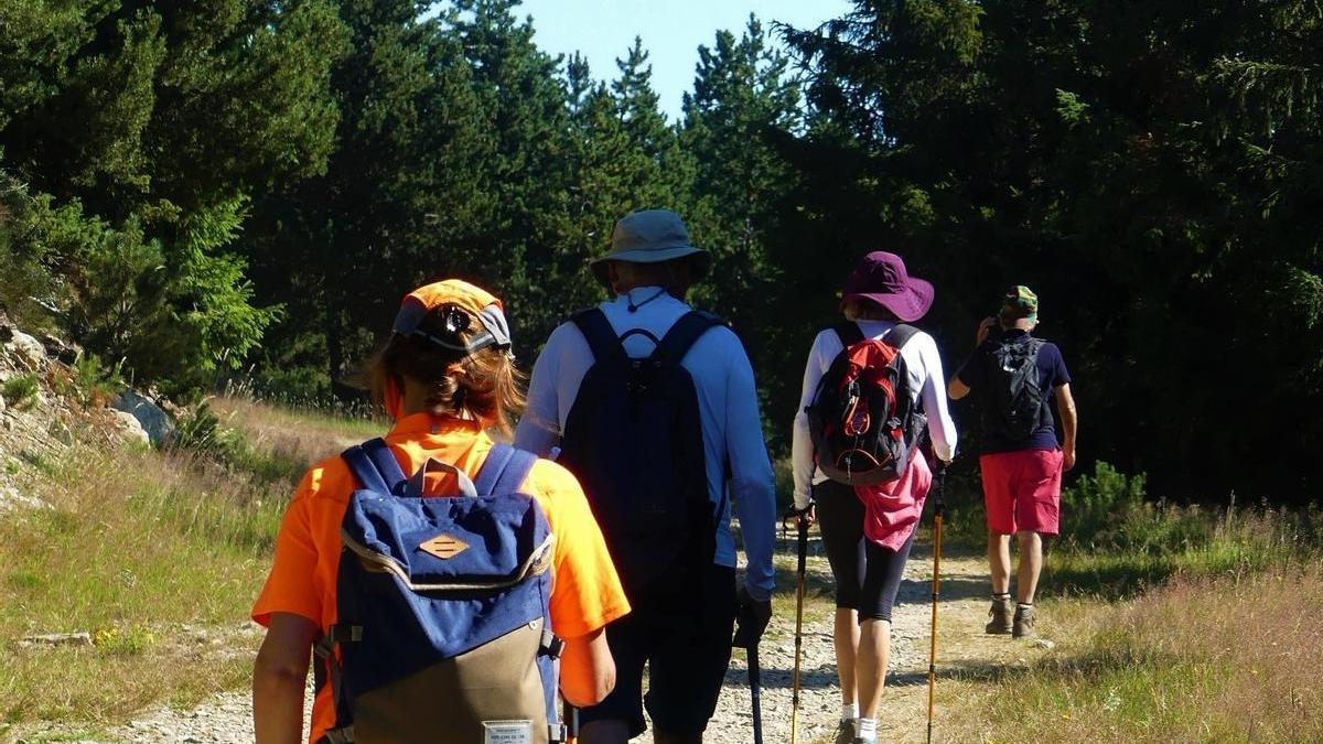 Una sortida del programa Cerdanya Senderisme de Salut