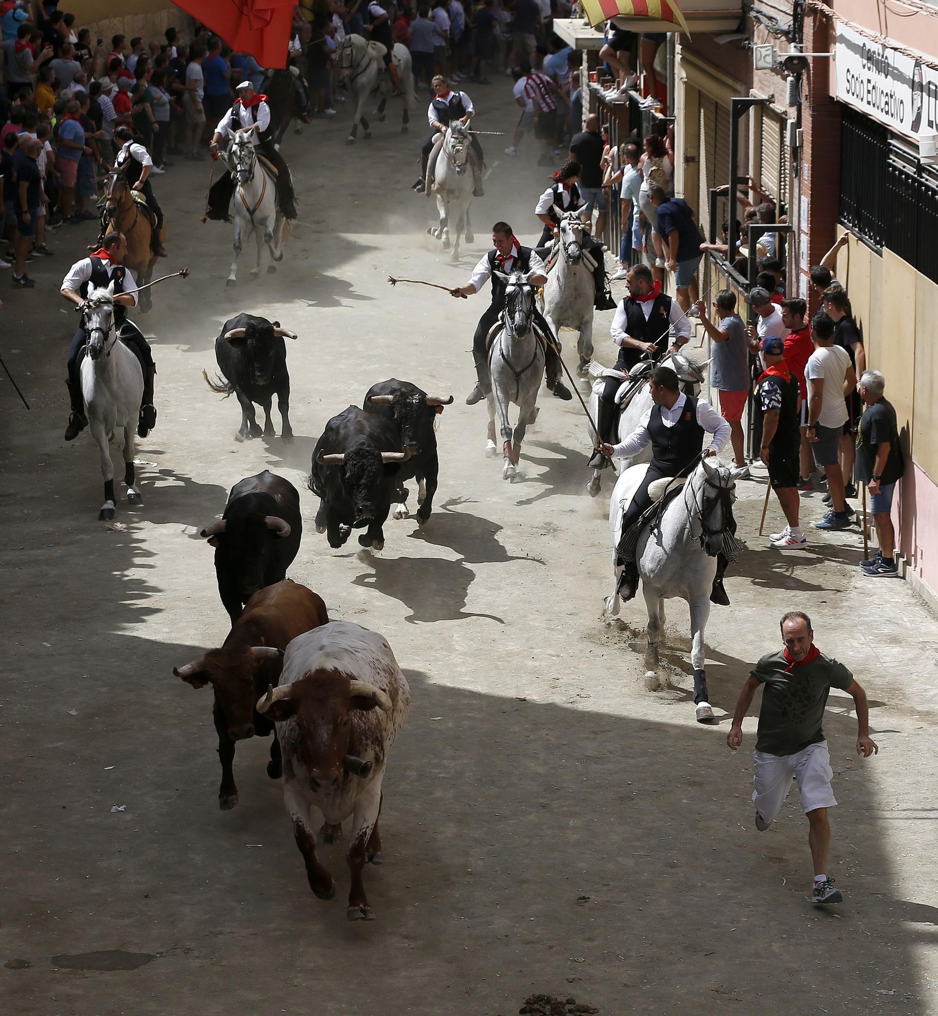 Todas las fotos de la cuarta Entrada de Toros y Caballos de Segorbe