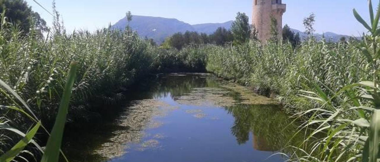 Torre de Guaita: Un fugaz paisaje idílico