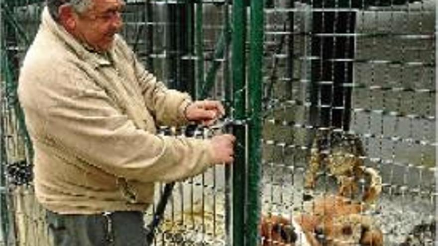 La gossera mancomunada entre la Cerdanya i l&#039;Alt Urgell, a la Seu