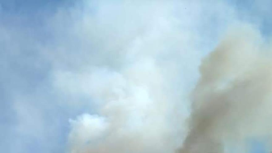 Incendio forestal en Valleseco (30/06/21)