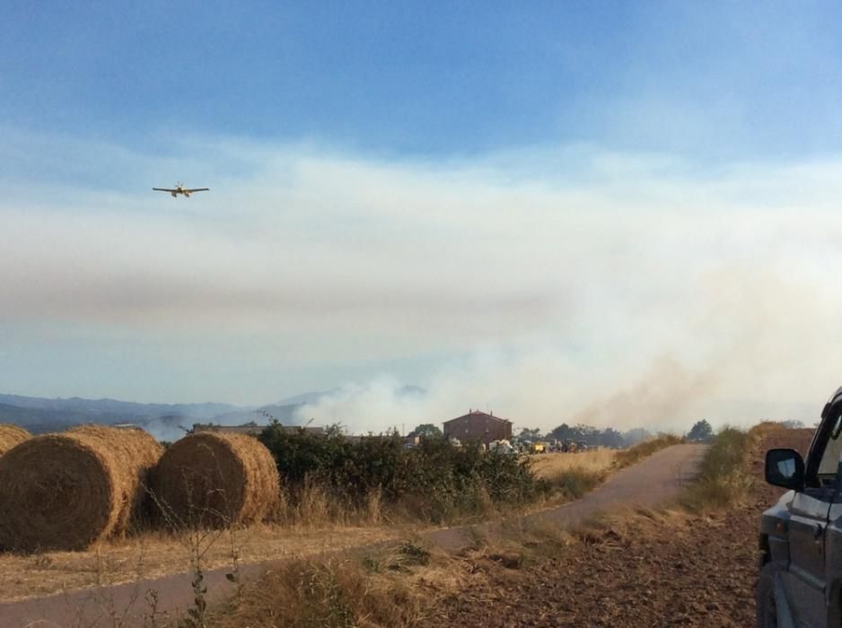 Incendi forestal a Sant Feliu Sasserra