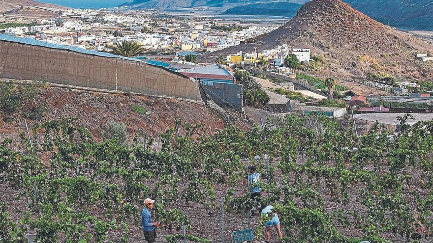 La alianza Europa-Mercosur reordena el mapa del comercio internacional
