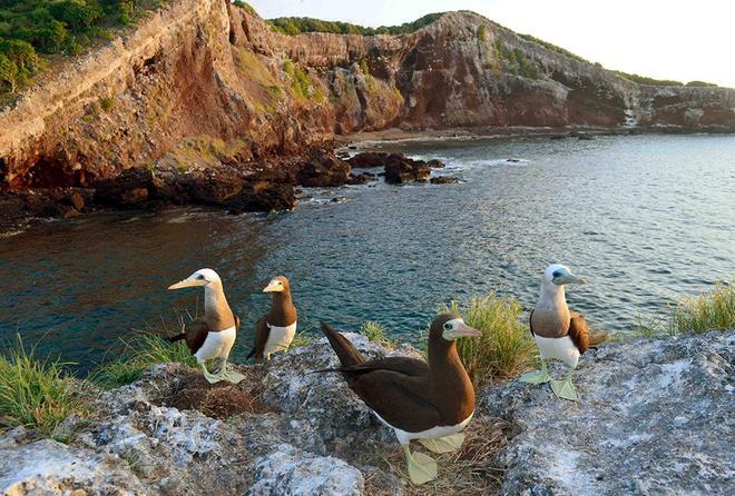 Parque Nacional Isla Isabel, Pacífico Mexicano