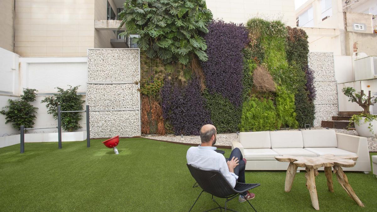 El patio interior de un nuevo edificio en General Marvá, con jardín vertical.