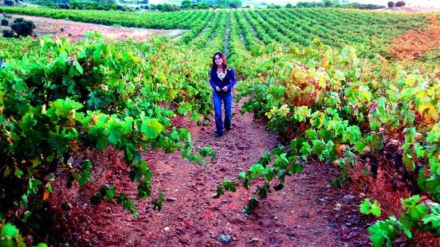 María Alfonso, en una de las viñas propiedad de bodegas «Zangarrón» en el término municipal de Sanzoles.