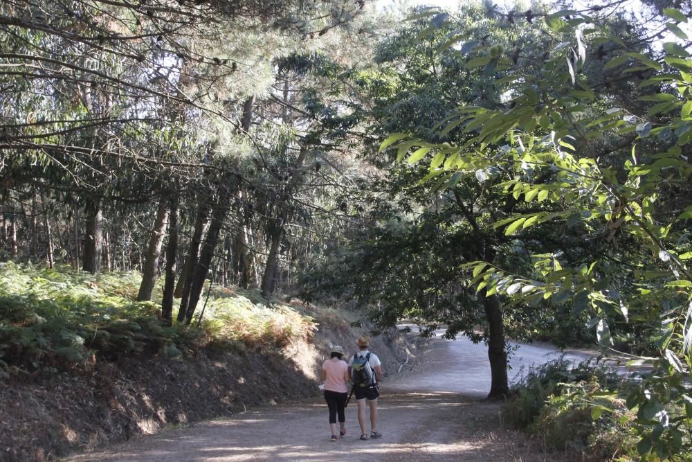 Arco Iris denuncia la pésima conservación de Costa da Vela - Asegura que es una bomba incendiaria y destaca la falta de guardas forestales y señalización adecuada