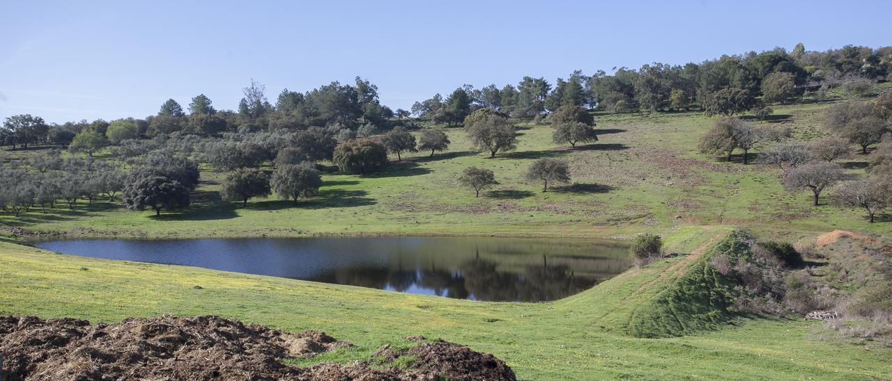 Estampa típica de la Sierra de la Mosca en Cáceres.