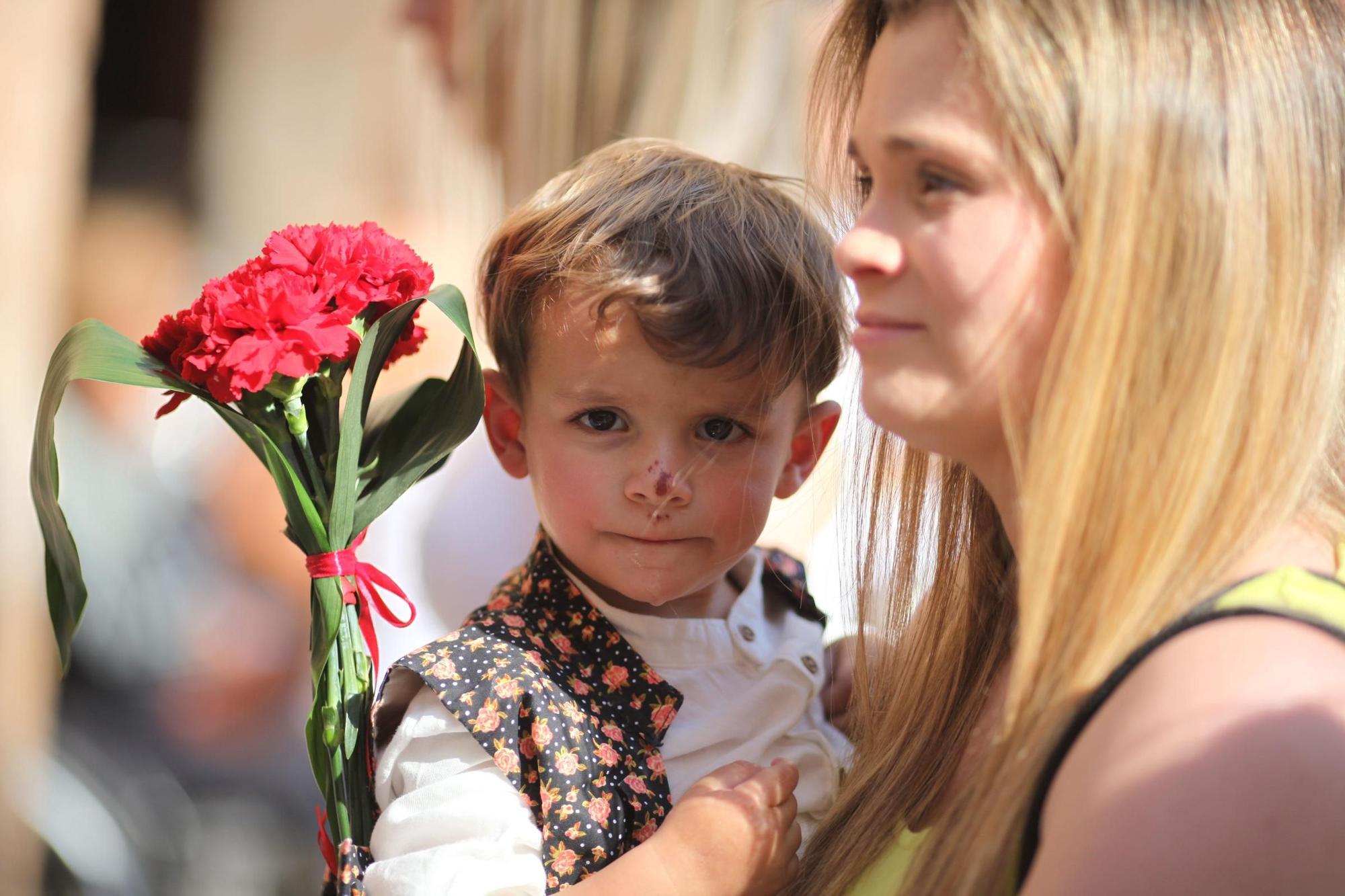 Galeria de fotos de l'ofrena de flors a Sant Pasqual en Vila-real