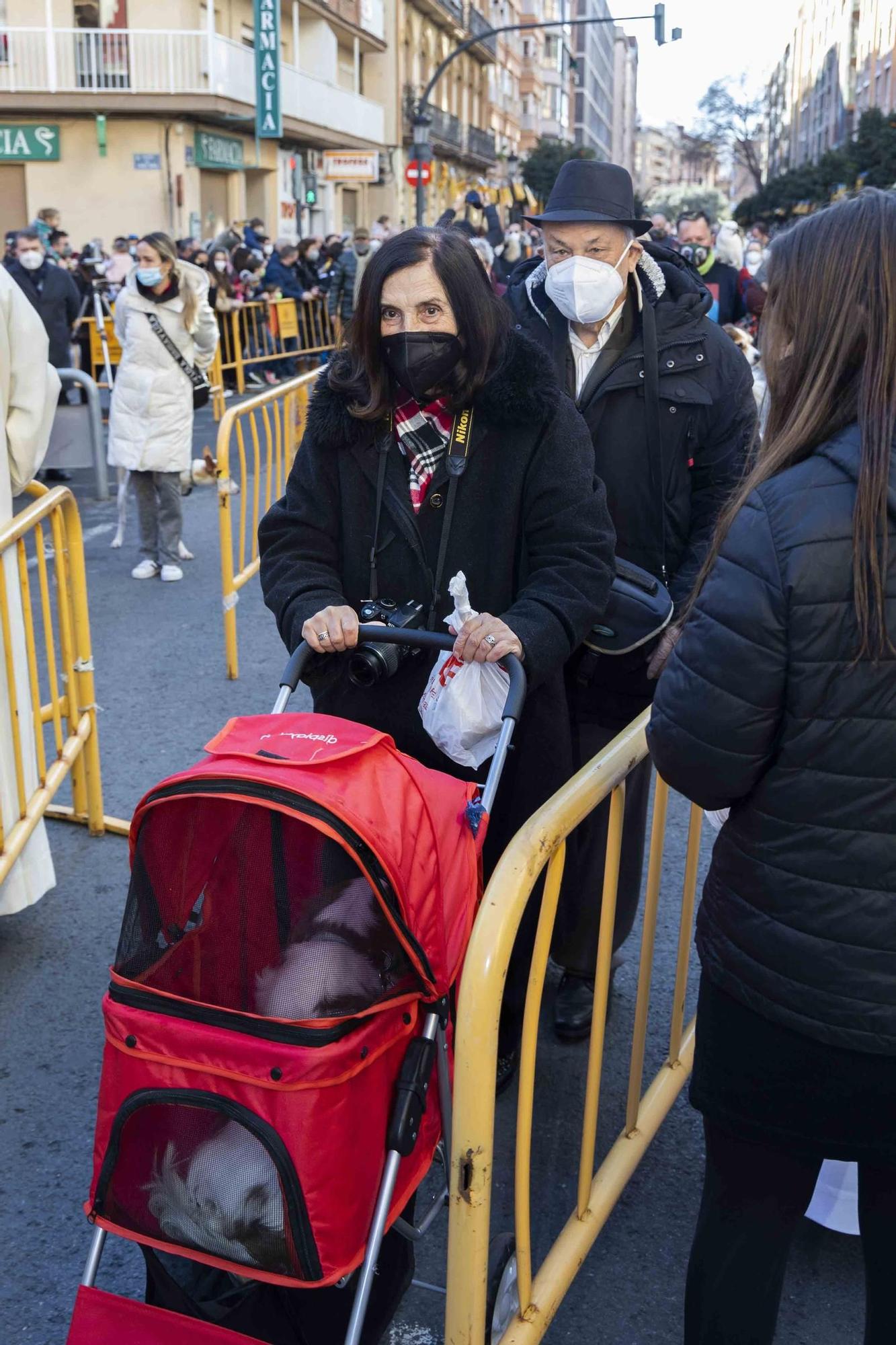 Búscate en la bendición de animales de Sant Antoni