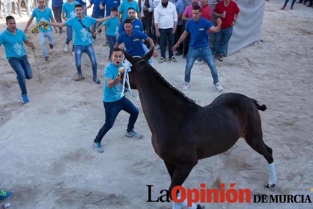 Día uno de mayo, entrada de caballos al Hoyo