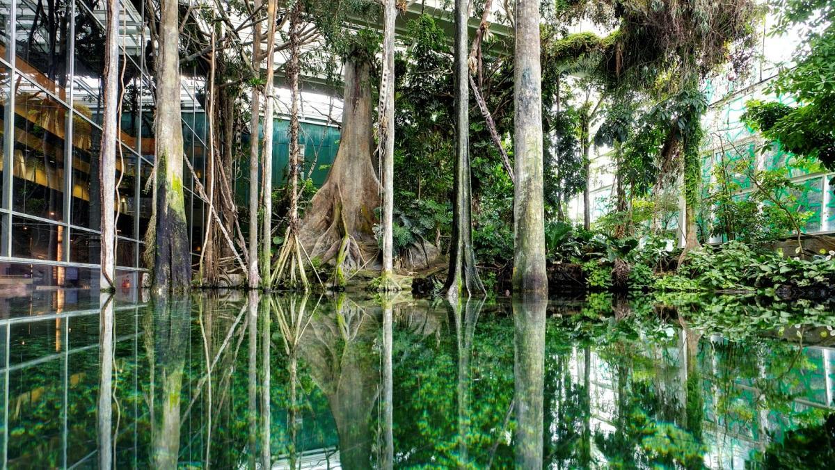 El Bosque Inundado es una cuidada recreación de la selva amazónica.