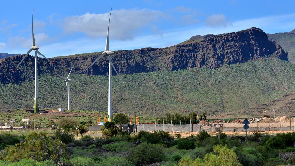 Parque eólico de la compañía Naturgy en el Sureste de Gran Canaria.