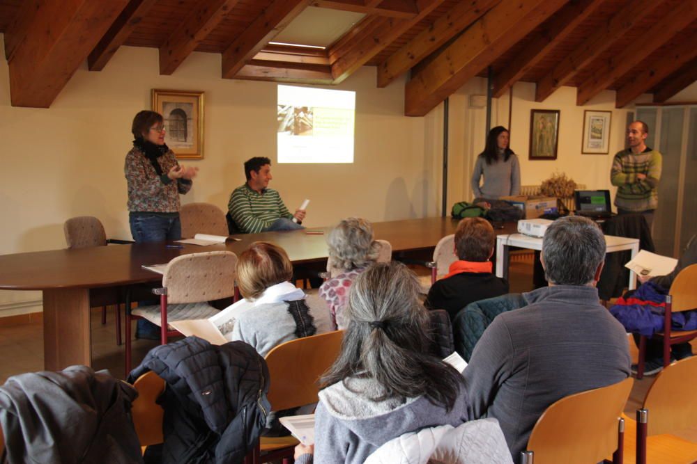 La Generalitat promociona el conreu del nap a la C