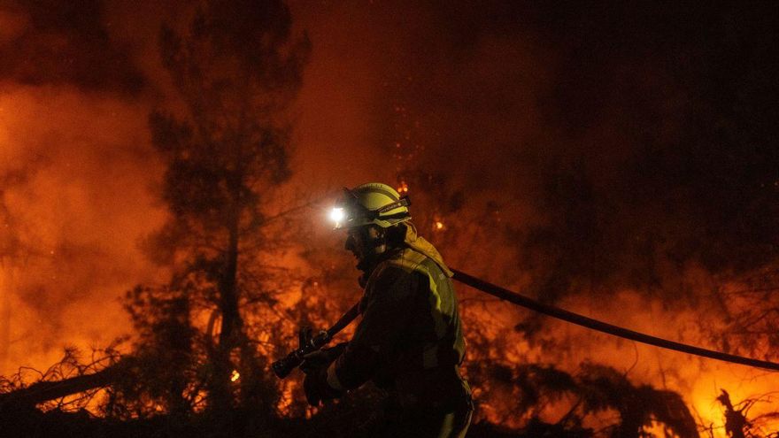 Harvard alerta del impacto de los incendios forestales en Galicia: afectan a tu salud