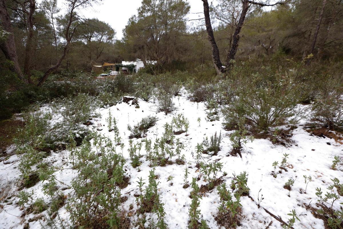 Granizo en la Talaia