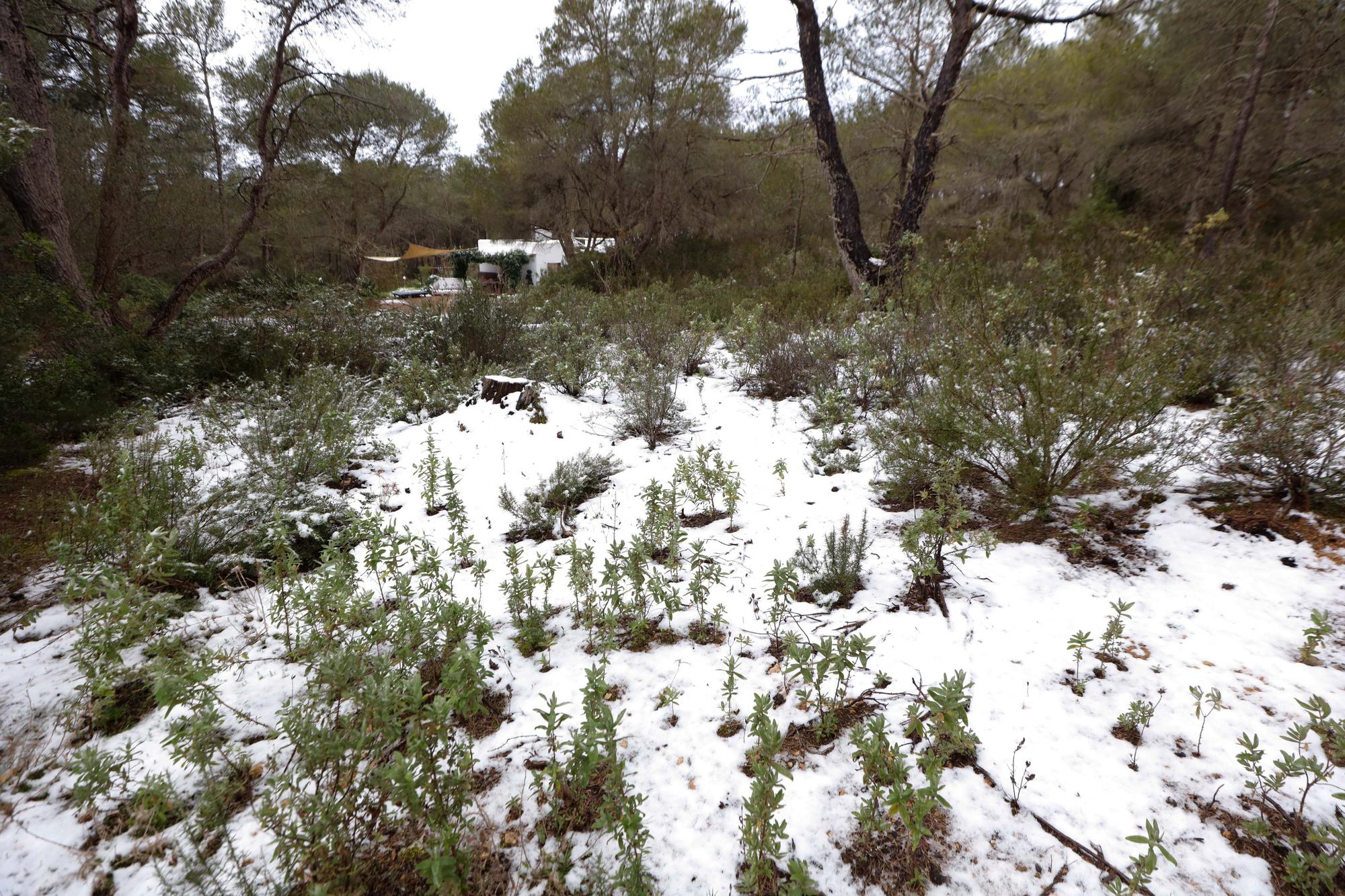 Bajada de temperaturas en Ibiza: Una manta de granizo cubre varias zonas de la isla