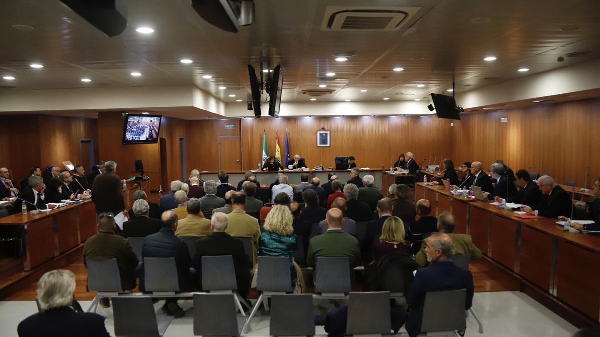 Un momento del juicio del caso 'Astapa', sobre la presunta corrupción política y urbanística en Estepona, en la Ciudad de la Justicia de Málaga.