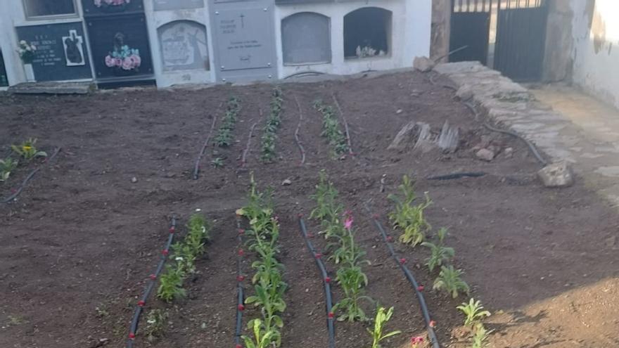 El Ayuntamiento de Acebo mejora el interior y exterior del cementerio municipal