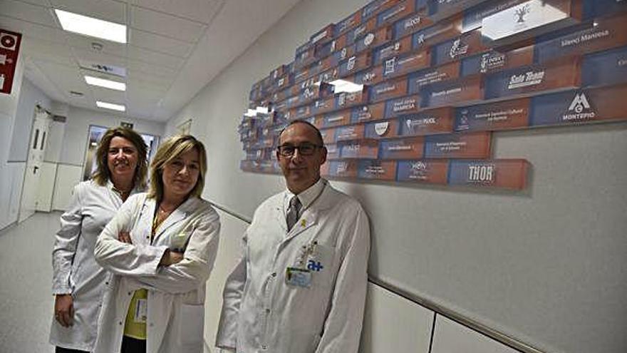 Montserrat Esclusa, Montserrat Domènech i Albert Altés, al mur de la gratitud de l&#039;hospital de dia