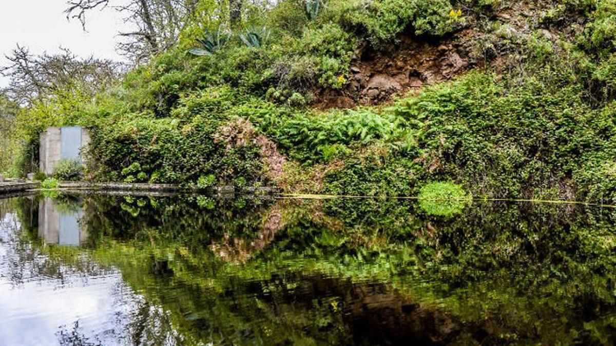 Naciente de agua, detro del Barranco de Las Madres, en Valleseco.