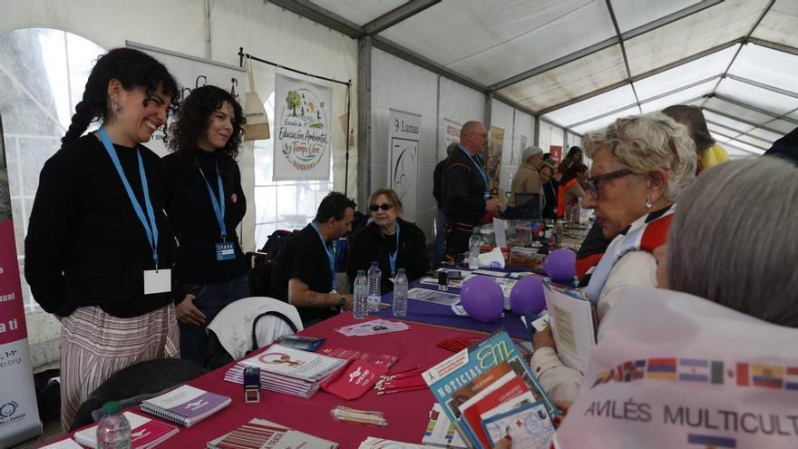 Avilés celebra la Feria de Asociaciones en Las Meanas