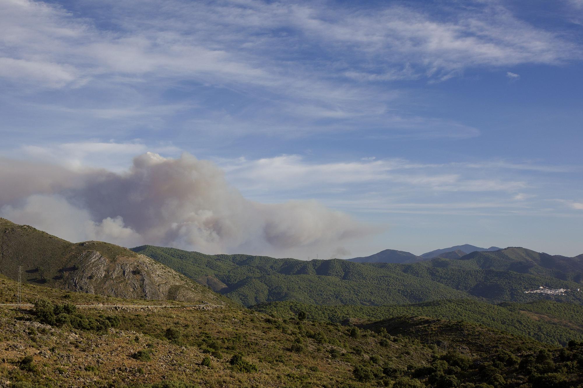 Incendio forestal en el paraje La Resinera de Pujerra