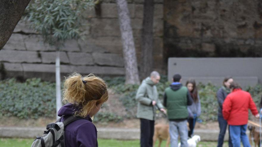 Los orines de los perros tendrán que ser limpiados por los dueños.