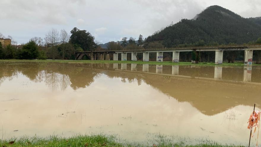 Peligro en los ríos tras el temporal: campos inundados en Pravia y tres puntos de Asturias en prealerta