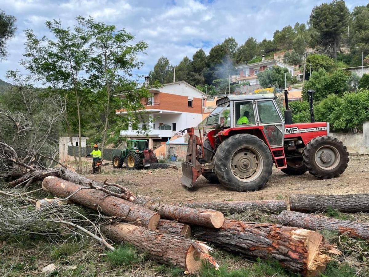 Actuacions per crear franges de protecció a l'entorn de la urbanització de Ca n'Armengol, a Corbera de Llobregat