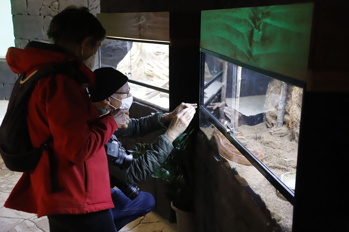 En imágenes el nuevo reptilario del zoo de Córdoba