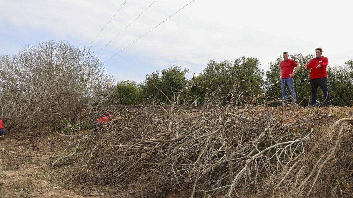 El alcalde, a la derecha, supervisa los trabajos realizados en los barrancos.