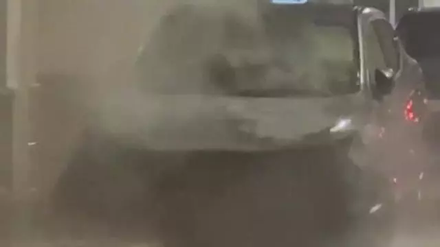Cadena de incendios presuntamente provocados en Guardamar