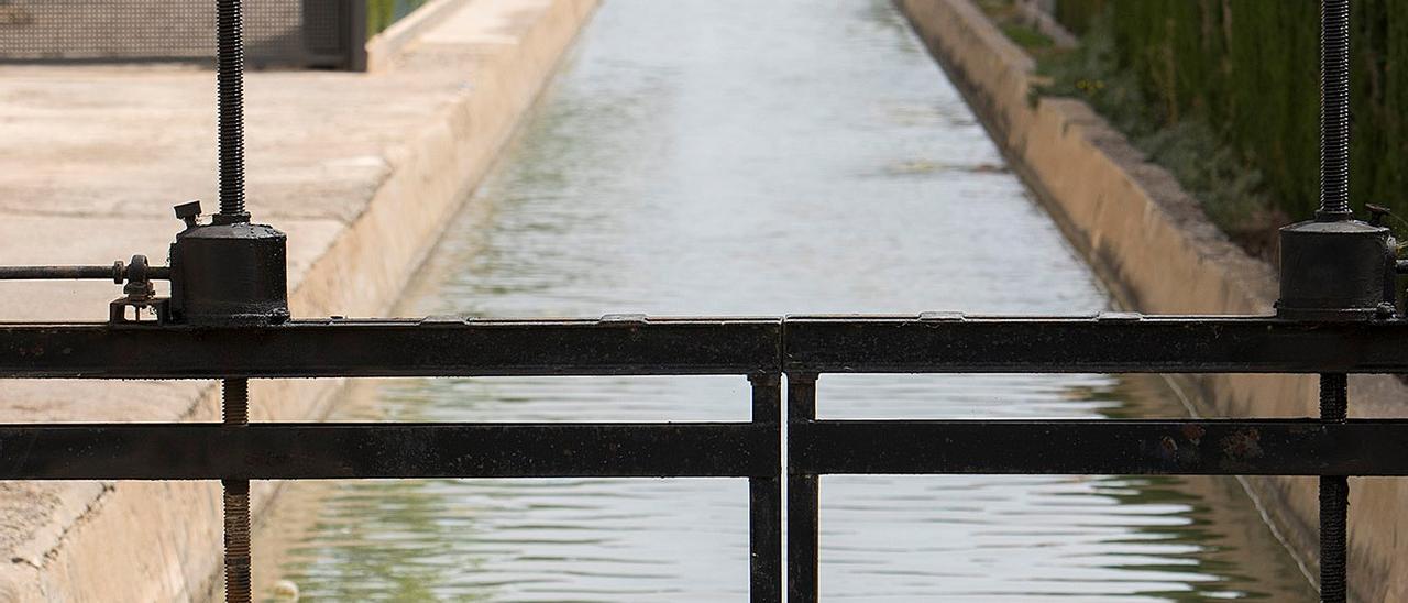 Imagen de la acequia la Molinera en la Marjaleria de Castelló.