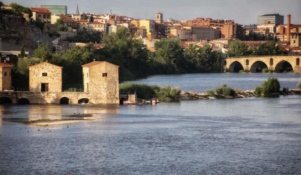 Aceñas de Olivares y Puente de Piedra, en el río Duero a su paso por Zamora.