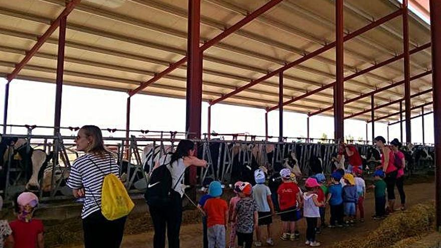 Afriza concluye las visitas con niños a las granjas