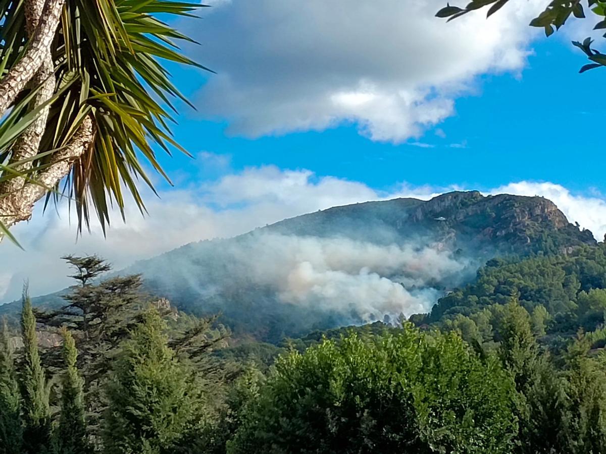 Un incendio forestal en Alzira amenza la Murta y dos centenares de viviendas