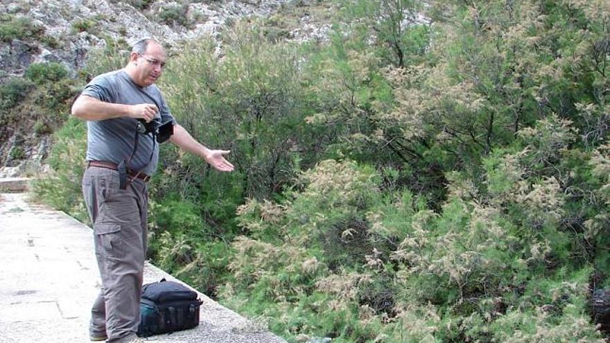 Arriba, una imagen del Vinalopó a su paso por Novelda y abajo, el fotógrafo José Benito Ruiz en el Pantano de Elda