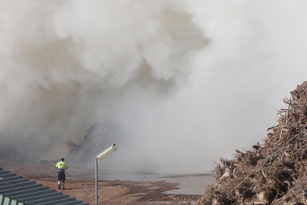 Fotogalería | Incendio en la planta de biomasa de Mérida