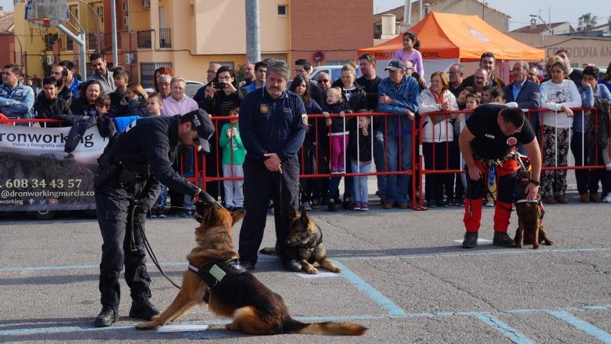 Los mejores agentes de Las Torres de Cotillas dan una exhibición