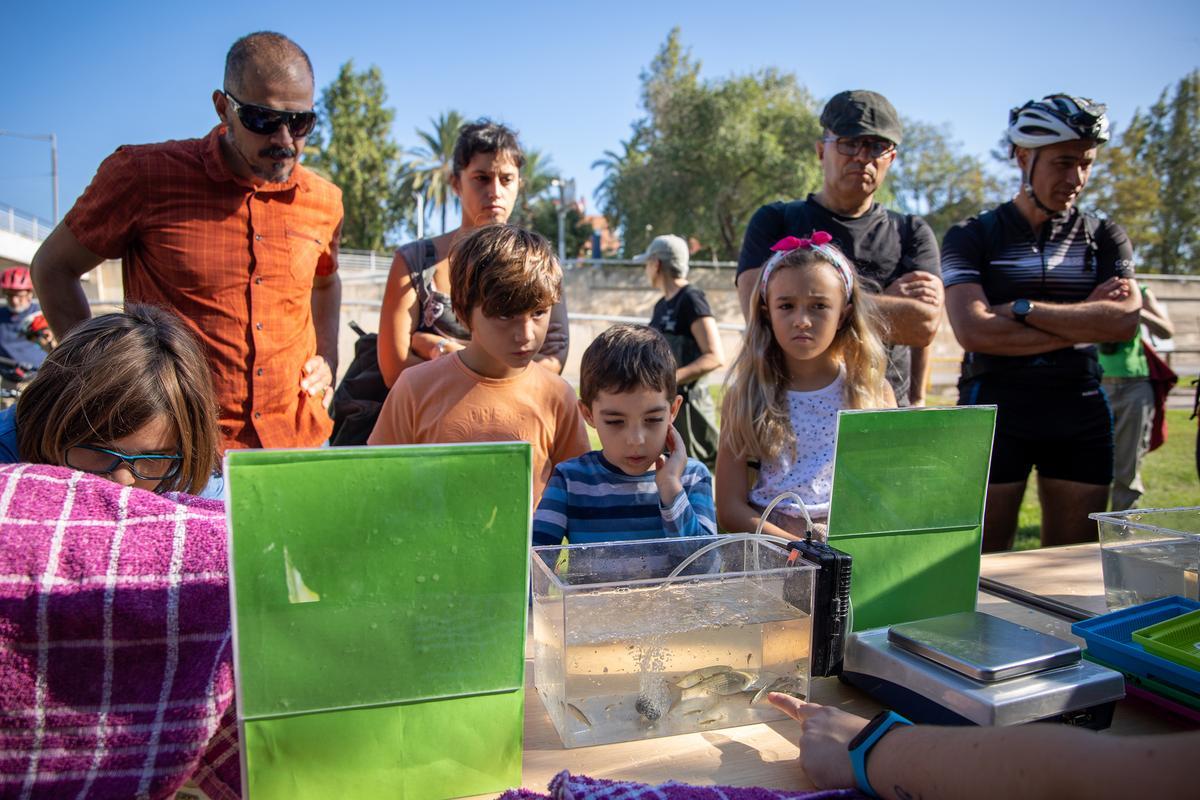 La fiesta de Va de Besòs, en el Parc del Litoral del Besòs